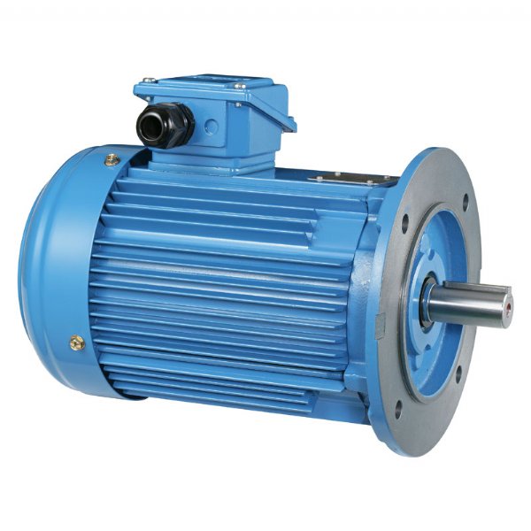 CharacterInduction List of Induction motor
